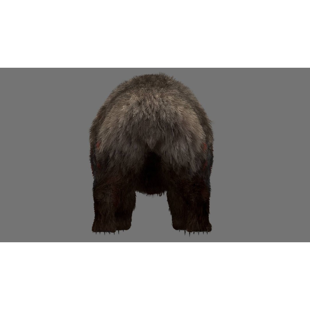 Injured Bear 3D Model – Rigged High Poly Game Asset, FBX, OBJ - View 5