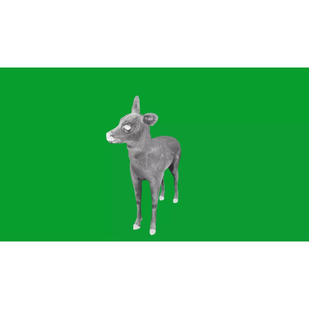 European Roe Deer 3D Model – Low Poly Game Ready Asset, FBX - View 13