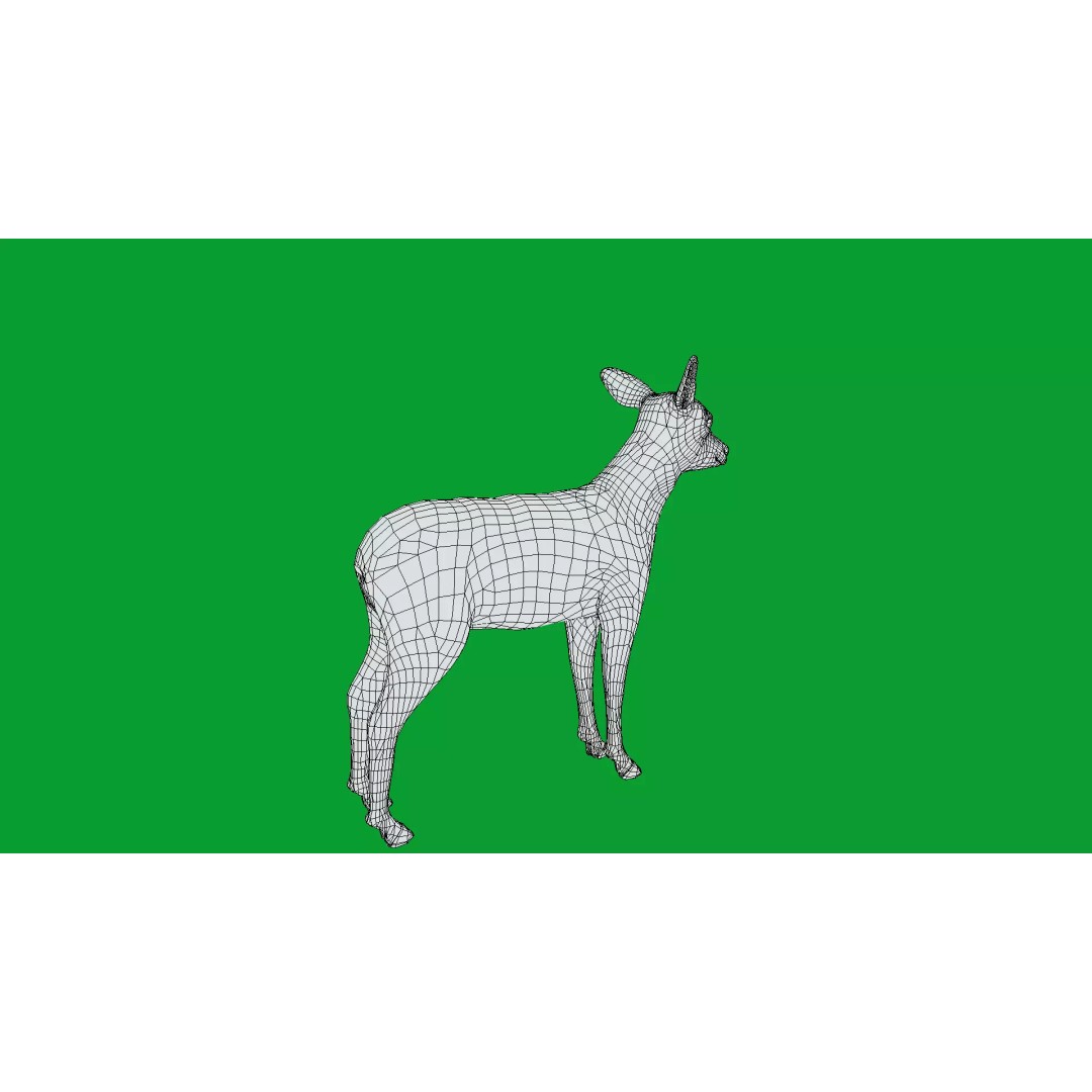 European Roe Deer 3D Model – Low Poly Game Ready Asset, FBX - View 19
