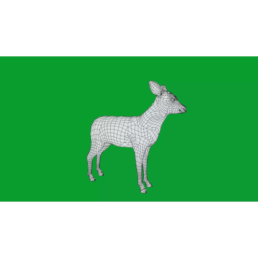 European Roe Deer 3D Model – Low Poly Game Ready Asset, FBX - View 20