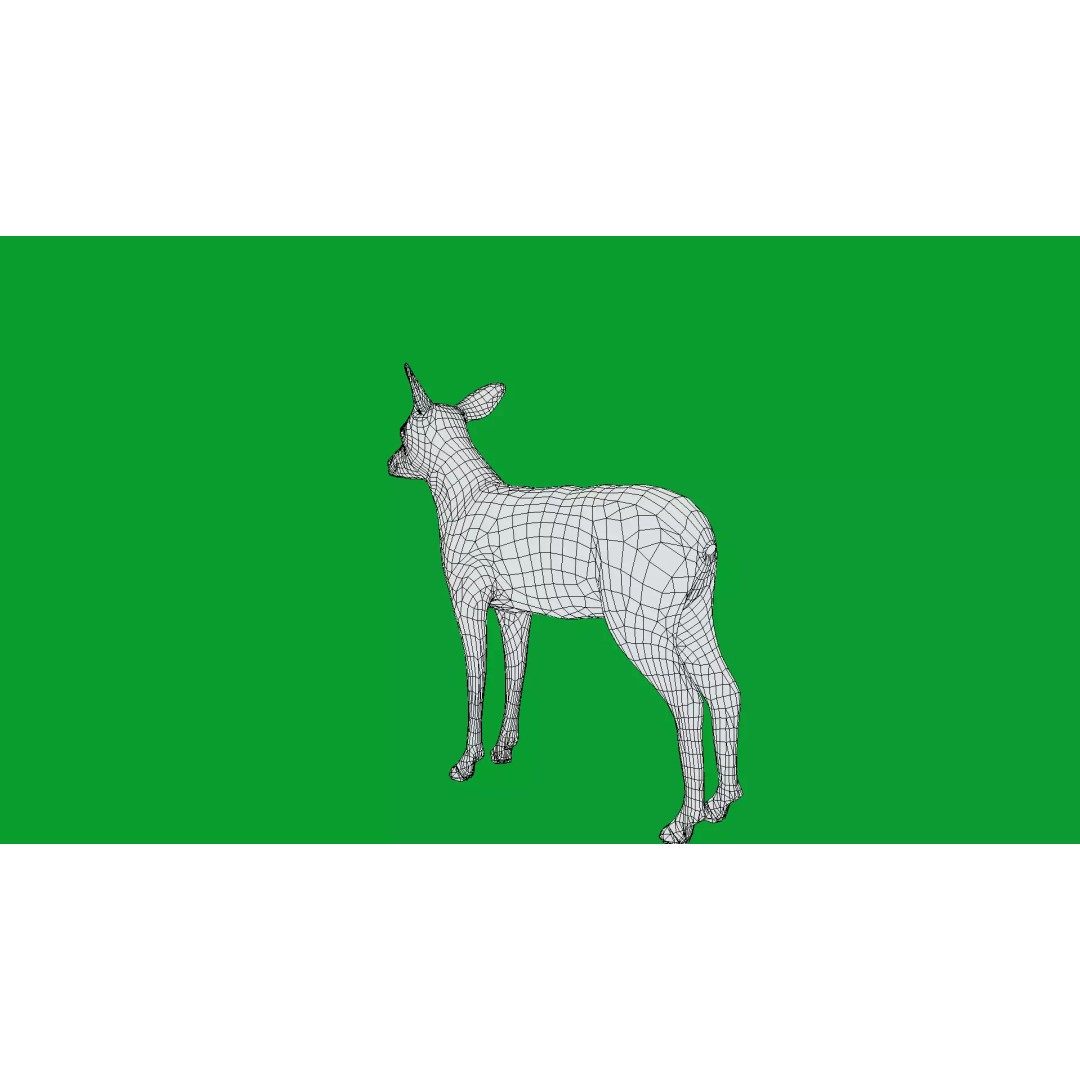 European Roe Deer 3D Model – Low Poly Game Ready Asset, FBX - View 21