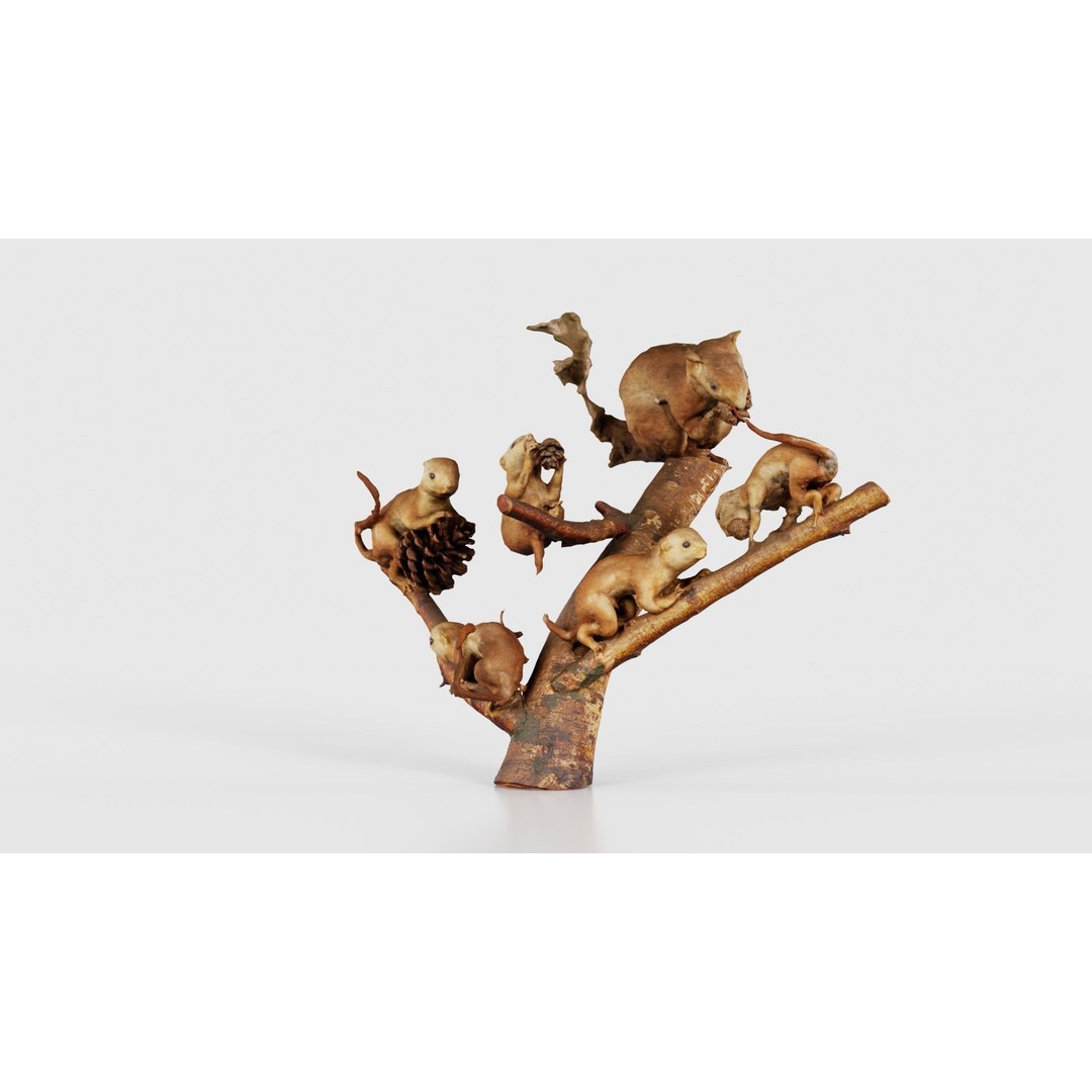 Squirrels on Branch 3D Model – Low Poly Photogrammetry Asset, FBX