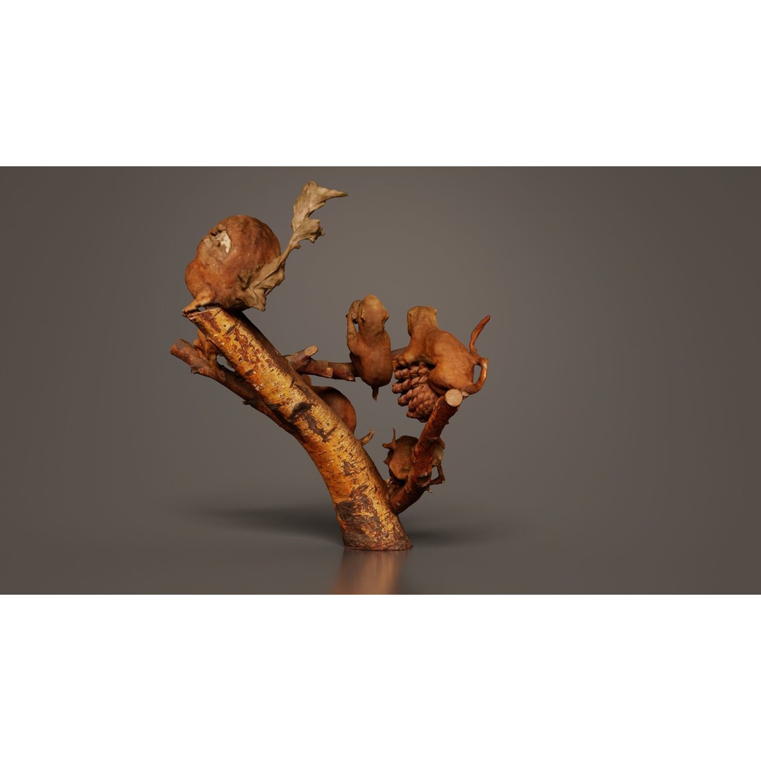 Squirrels on Branch 3D Model – Low Poly Photogrammetry Asset, FBX - View 10