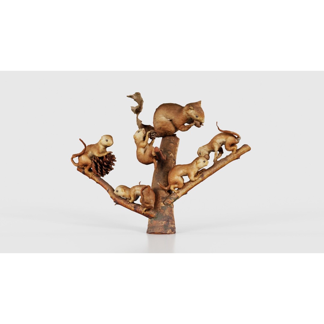 Squirrels on Branch 3D Model – Low Poly Photogrammetry Asset, FBX - View 17