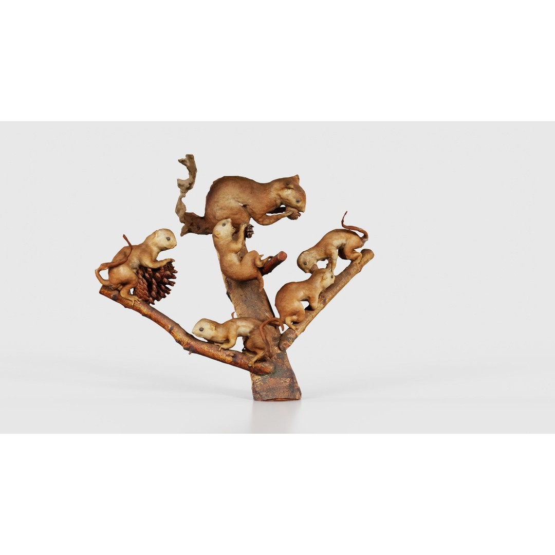 Squirrels on Branch 3D Model – Low Poly Photogrammetry Asset, FBX - View 18