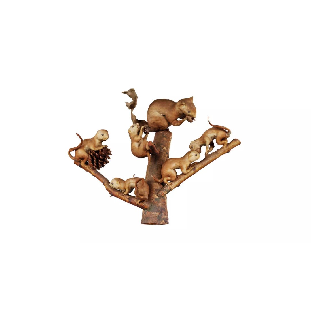 Squirrels on Branch 3D Model – Low Poly Photogrammetry Asset, FBX - View 2
