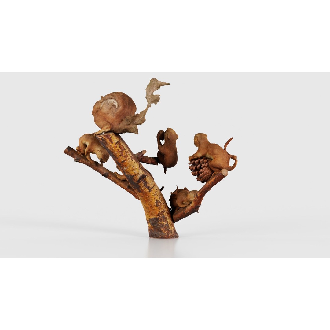 Squirrels on Branch 3D Model – Low Poly Photogrammetry Asset, FBX - View 22