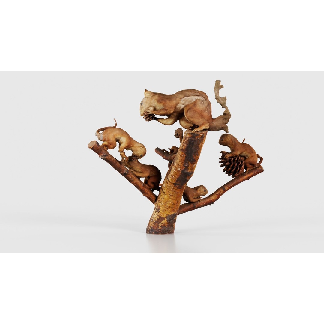 Squirrels on Branch 3D Model – Low Poly Photogrammetry Asset, FBX - View 24