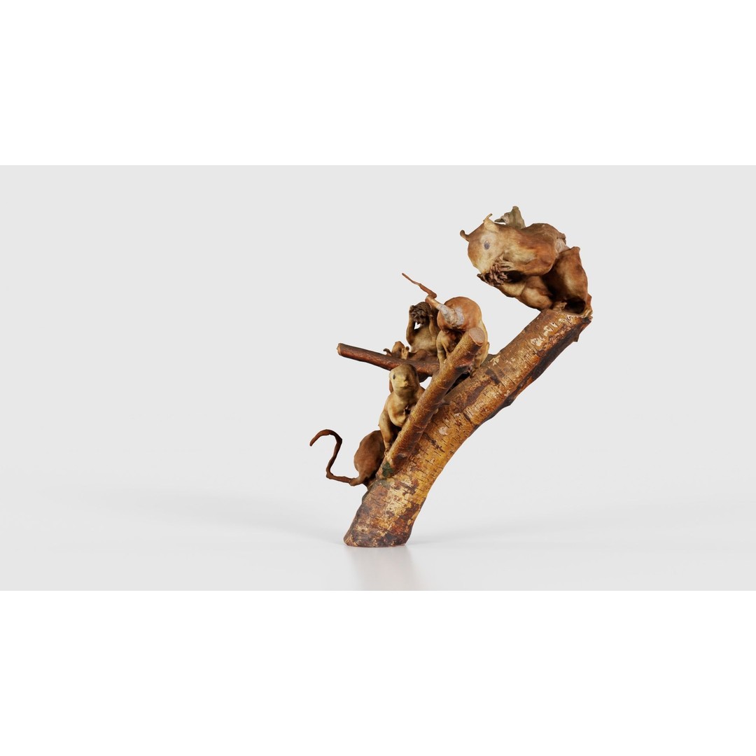 Squirrels on Branch 3D Model – Low Poly Photogrammetry Asset, FBX - View 26