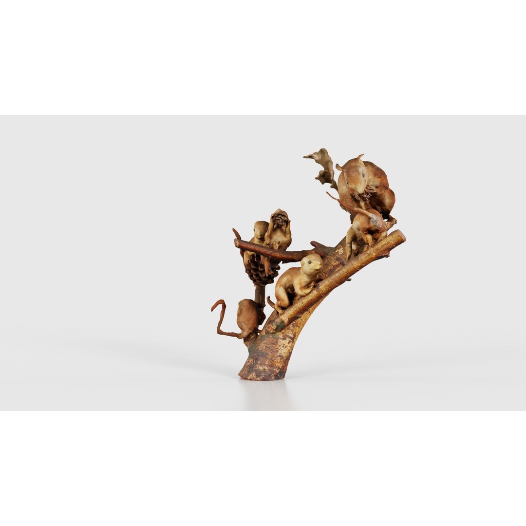 Squirrels on Branch 3D Model – Low Poly Photogrammetry Asset, FBX - View 27