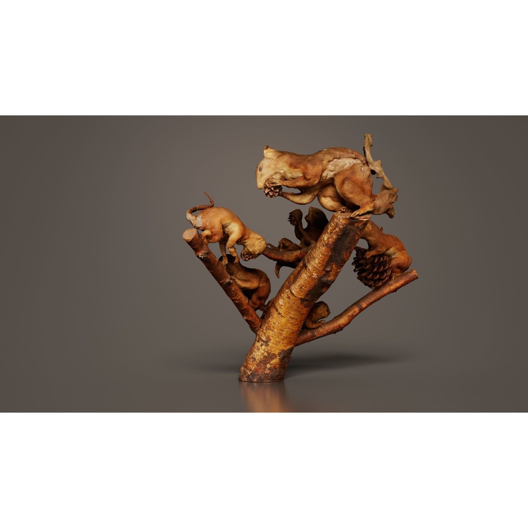 Squirrels on Branch 3D Model – Low Poly Photogrammetry Asset, FBX - View 3