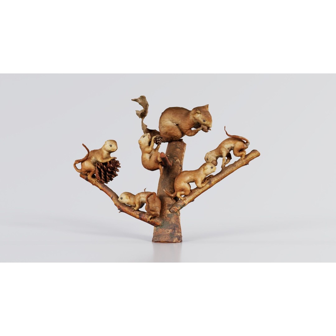 Squirrels on Branch 3D Model – Low Poly Photogrammetry Asset, FBX - View 4