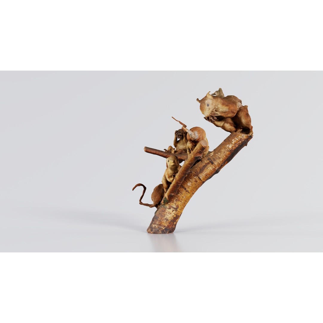 Squirrels on Branch 3D Model – Low Poly Photogrammetry Asset, FBX - View 5