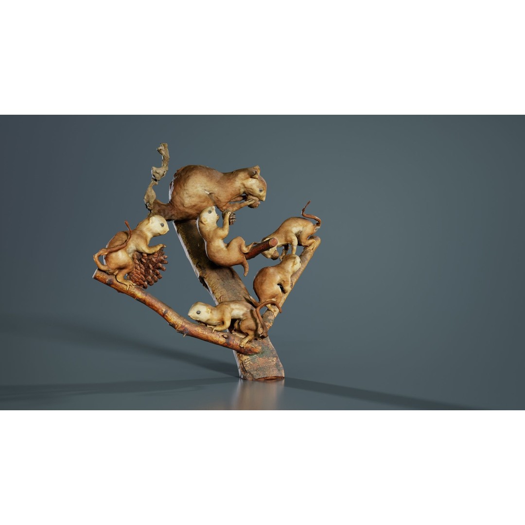 Squirrels on Branch 3D Model – Low Poly Photogrammetry Asset, FBX - View 8