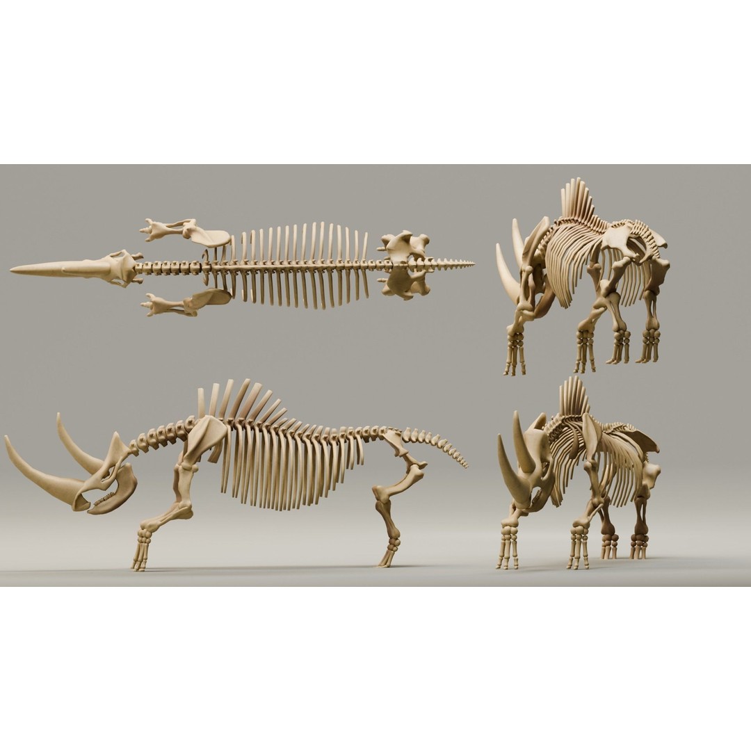 Woolly Rhino 3D Model – Low Poly Rigged Fossil, FBX & Blender - View 10