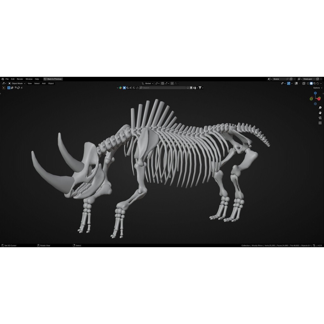 Woolly Rhino 3D Model – Low Poly Rigged Fossil, FBX & Blender - View 12