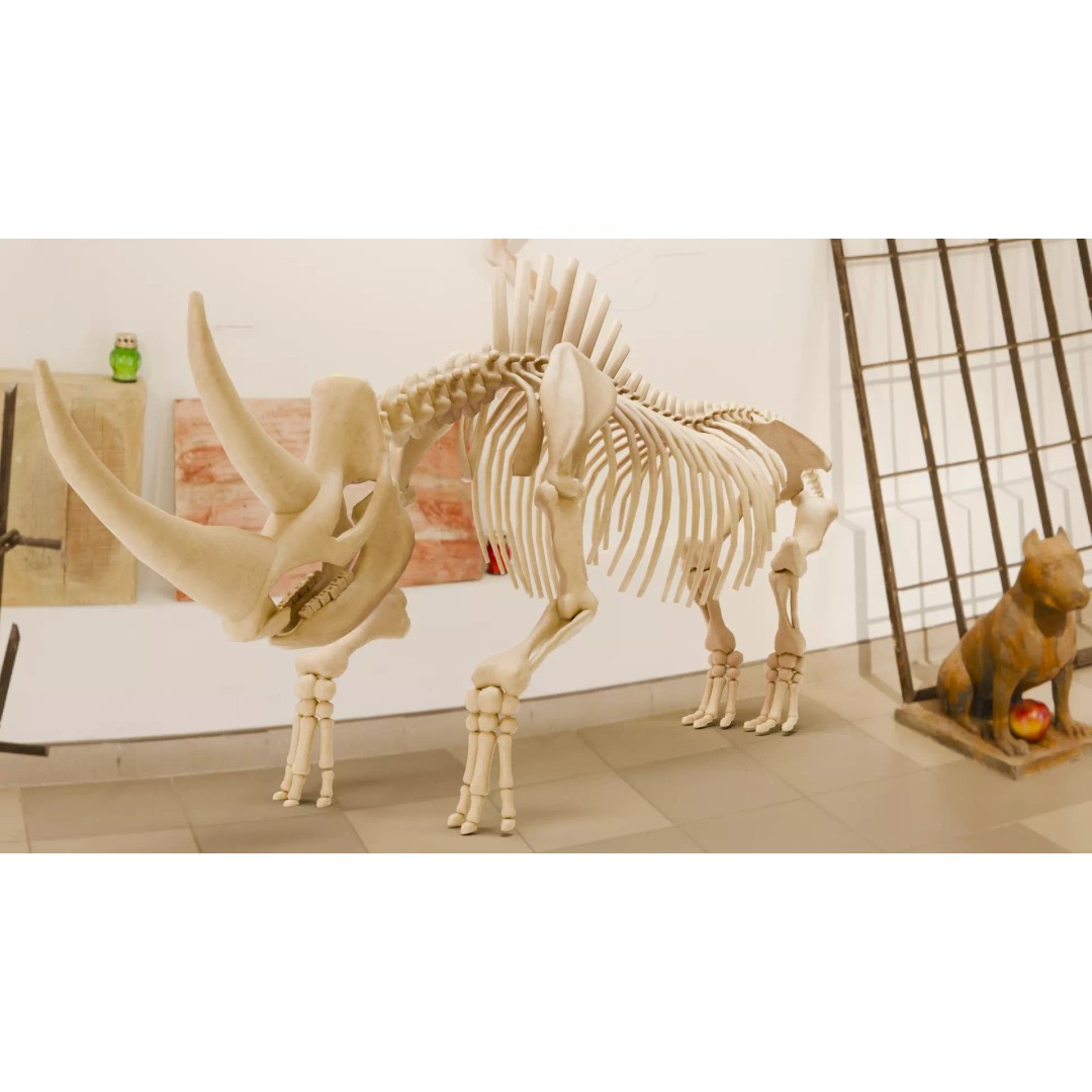 Woolly Rhino 3D Model – Low Poly Rigged Fossil, FBX & Blender - View 2