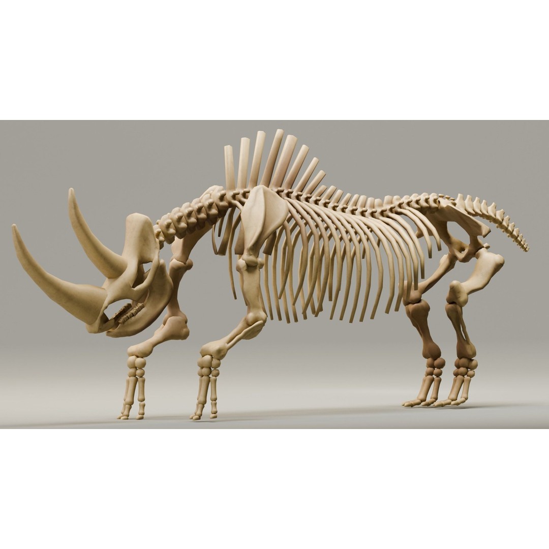 Woolly Rhino 3D Model – Low Poly Rigged Fossil, FBX & Blender - View 3
