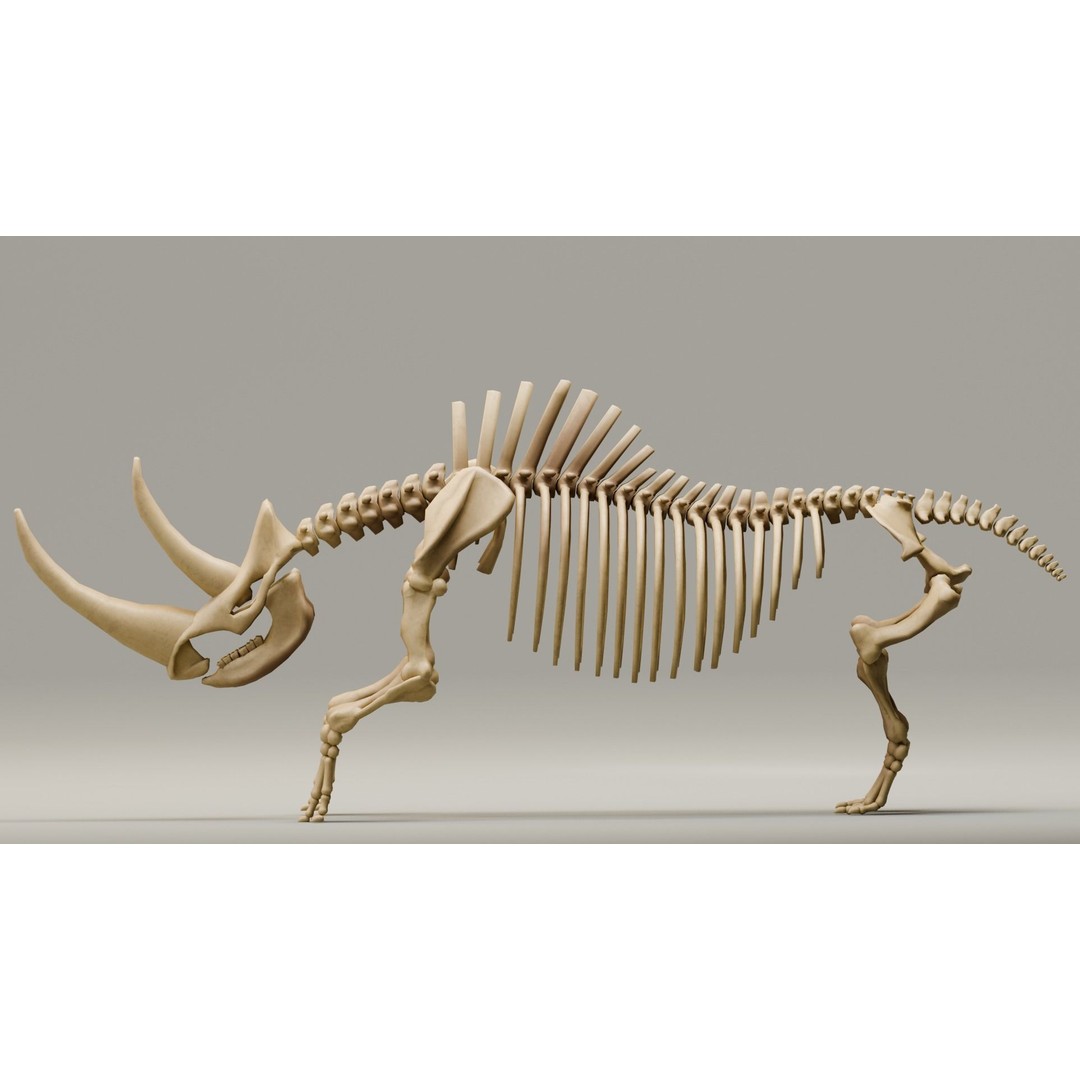 Woolly Rhino 3D Model – Low Poly Rigged Fossil, FBX & Blender - View 4