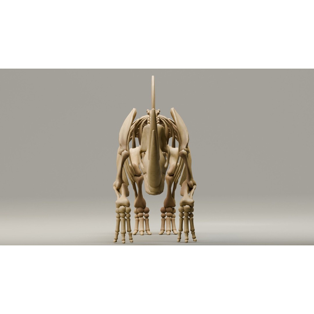 Woolly Rhino 3D Model – Low Poly Rigged Fossil, FBX & Blender - View 5