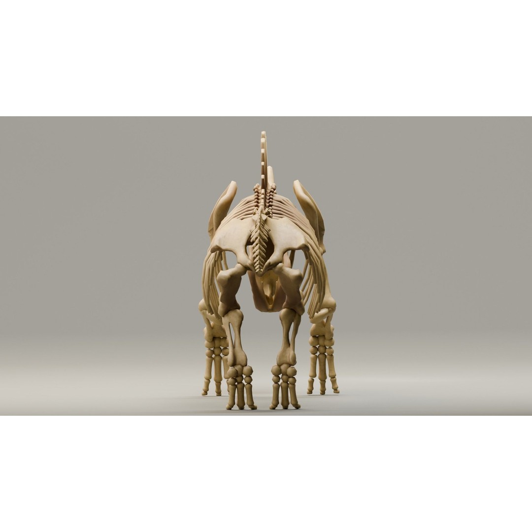 Woolly Rhino 3D Model – Low Poly Rigged Fossil, FBX & Blender - View 6