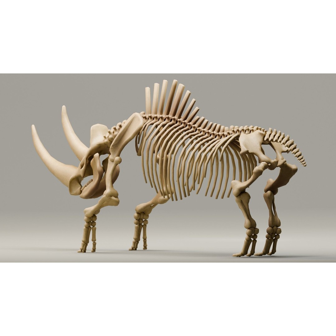 Woolly Rhino 3D Model – Low Poly Rigged Fossil, FBX & Blender - View 7
