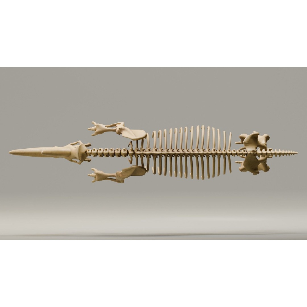 Woolly Rhino 3D Model – Low Poly Rigged Fossil, FBX & Blender - View 9