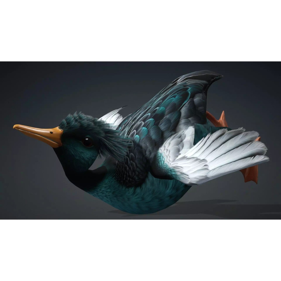 Duck-B2 3D Model – Rigged Animated Bird with PBR Textures, FBX - View 10