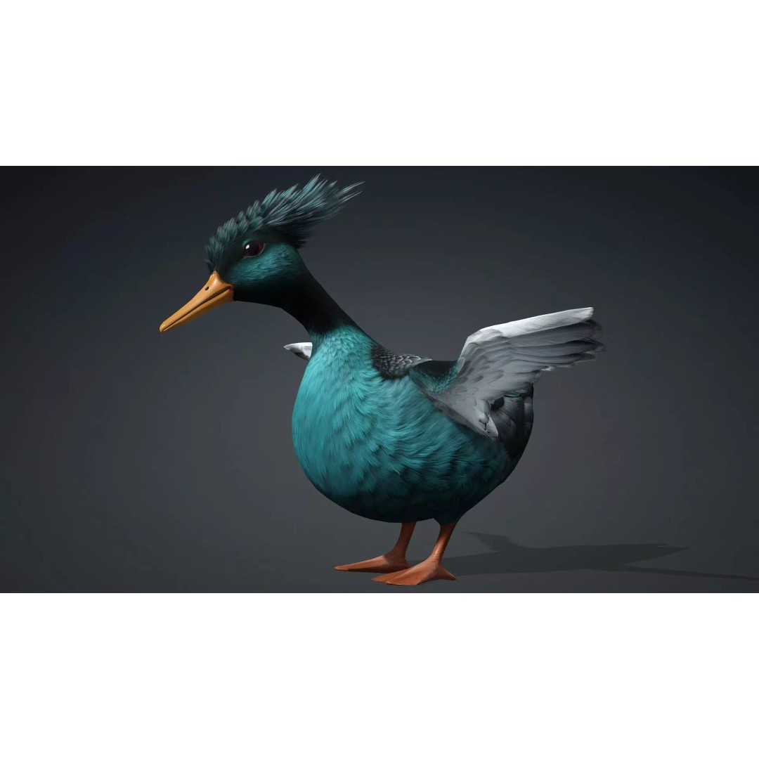 Duck-B2 3D Model – Rigged Animated Bird with PBR Textures, FBX - View 11
