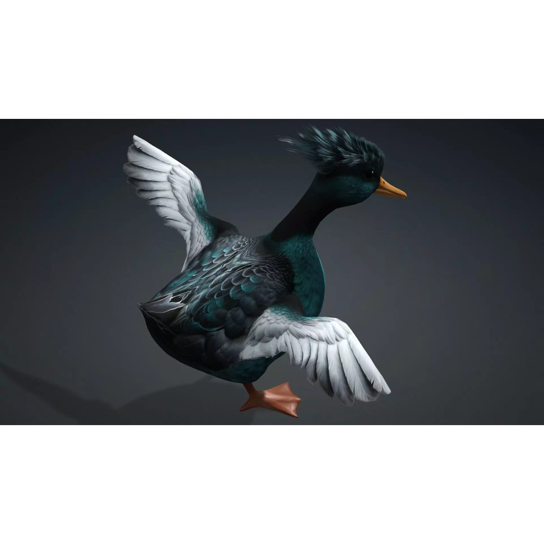 Duck-B2 3D Model – Rigged Animated Bird with PBR Textures, FBX - View 12