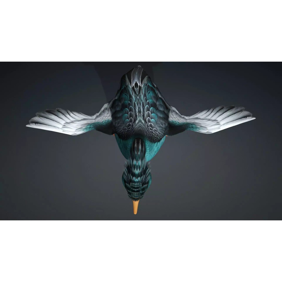 Duck-B2 3D Model – Rigged Animated Bird with PBR Textures, FBX - View 13