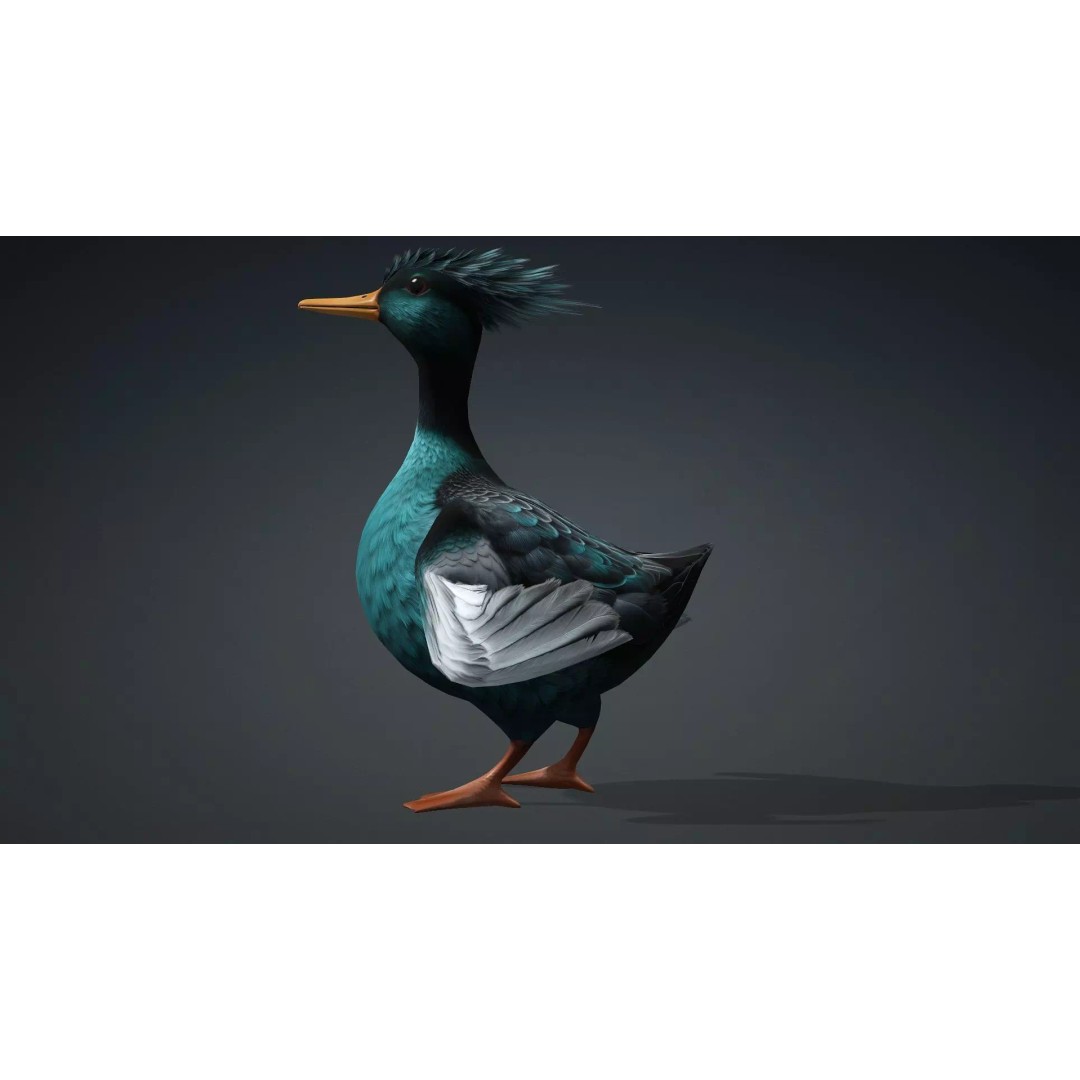 Duck-B2 3D Model – Rigged Animated Bird with PBR Textures, FBX - View 14
