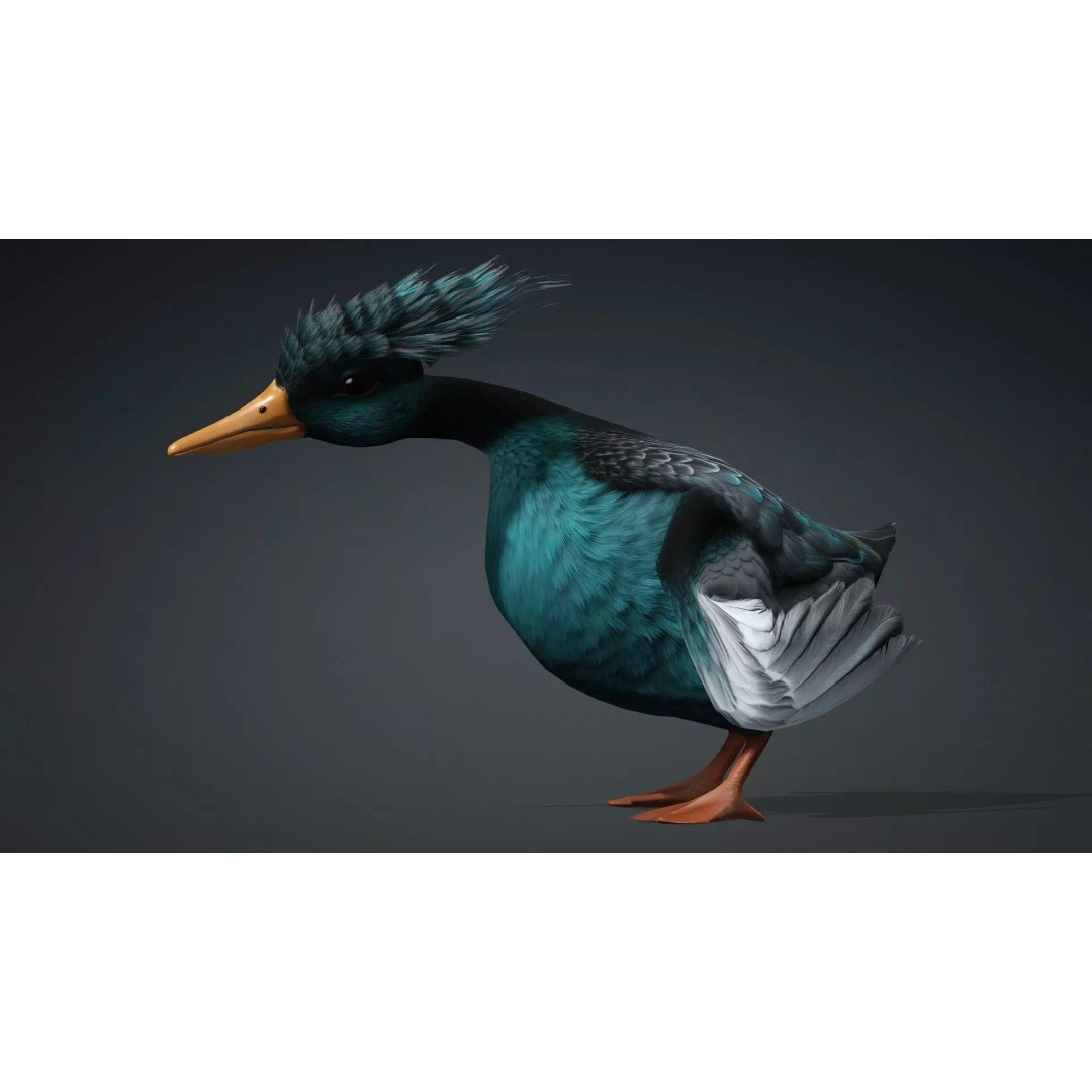 Duck-B2 3D Model – Rigged Animated Bird with PBR Textures, FBX - View 15