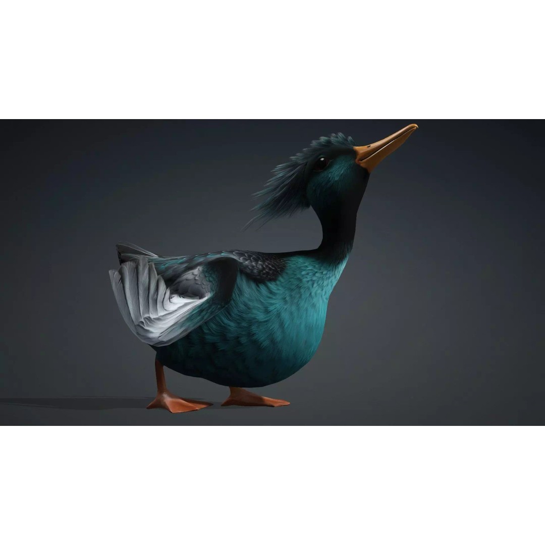 Duck-B2 3D Model – Rigged Animated Bird with PBR Textures, FBX - View 16