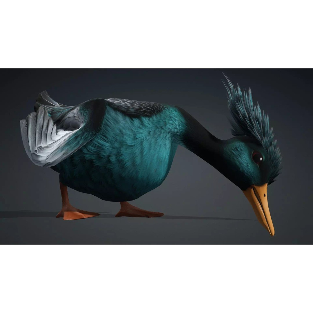 Duck-B2 3D Model – Rigged Animated Bird with PBR Textures, FBX - View 17