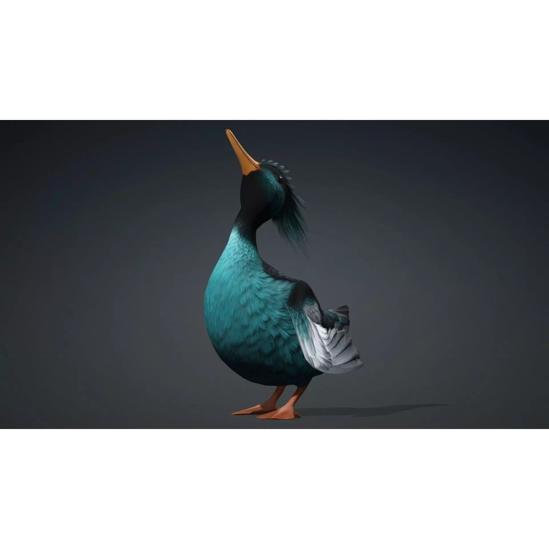 Duck-B2 3D Model – Rigged Animated Bird with PBR Textures, FBX - View 18