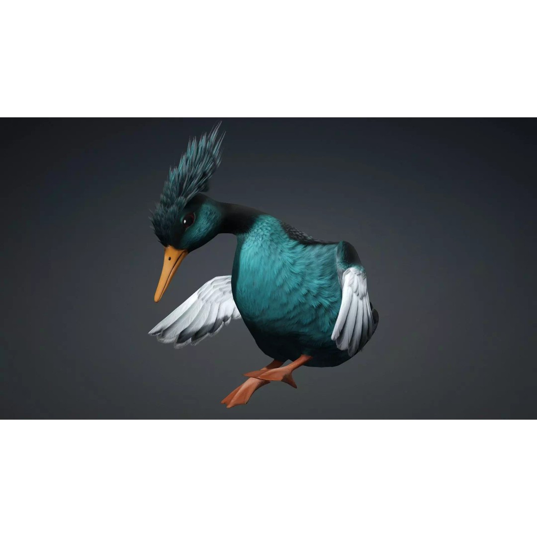 Duck-B2 3D Model – Rigged Animated Bird with PBR Textures, FBX - View 6