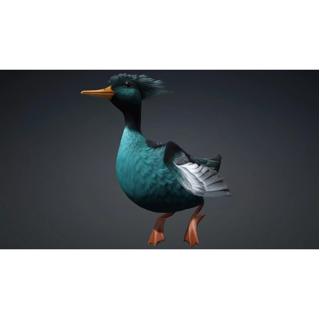 Duck-B2 3D Model – Rigged Animated Bird with PBR Textures, FBX - View 7