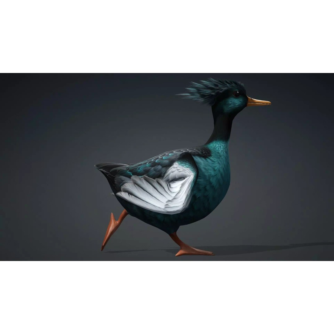 Duck-B2 3D Model – Rigged Animated Bird with PBR Textures, FBX - View 9