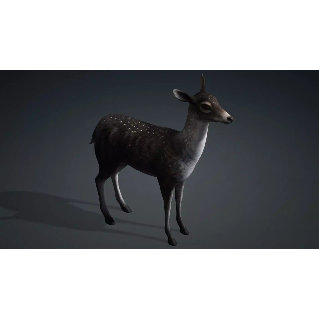 Deer 3D Model – Rigged Animated PBR Asset for Unity & Blender - View 11