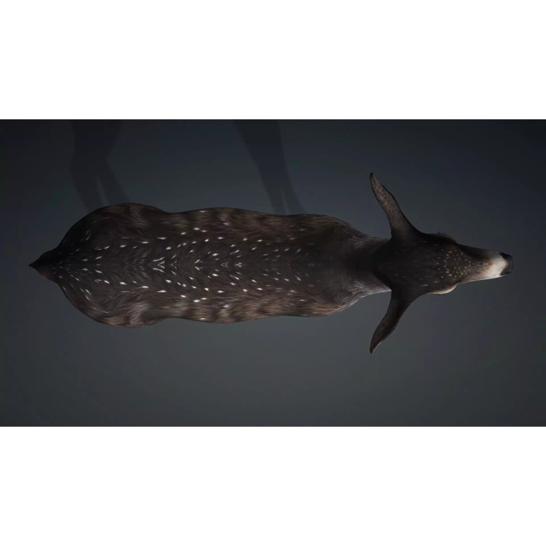 Deer 3D Model – Rigged Animated PBR Asset for Unity & Blender - View 12