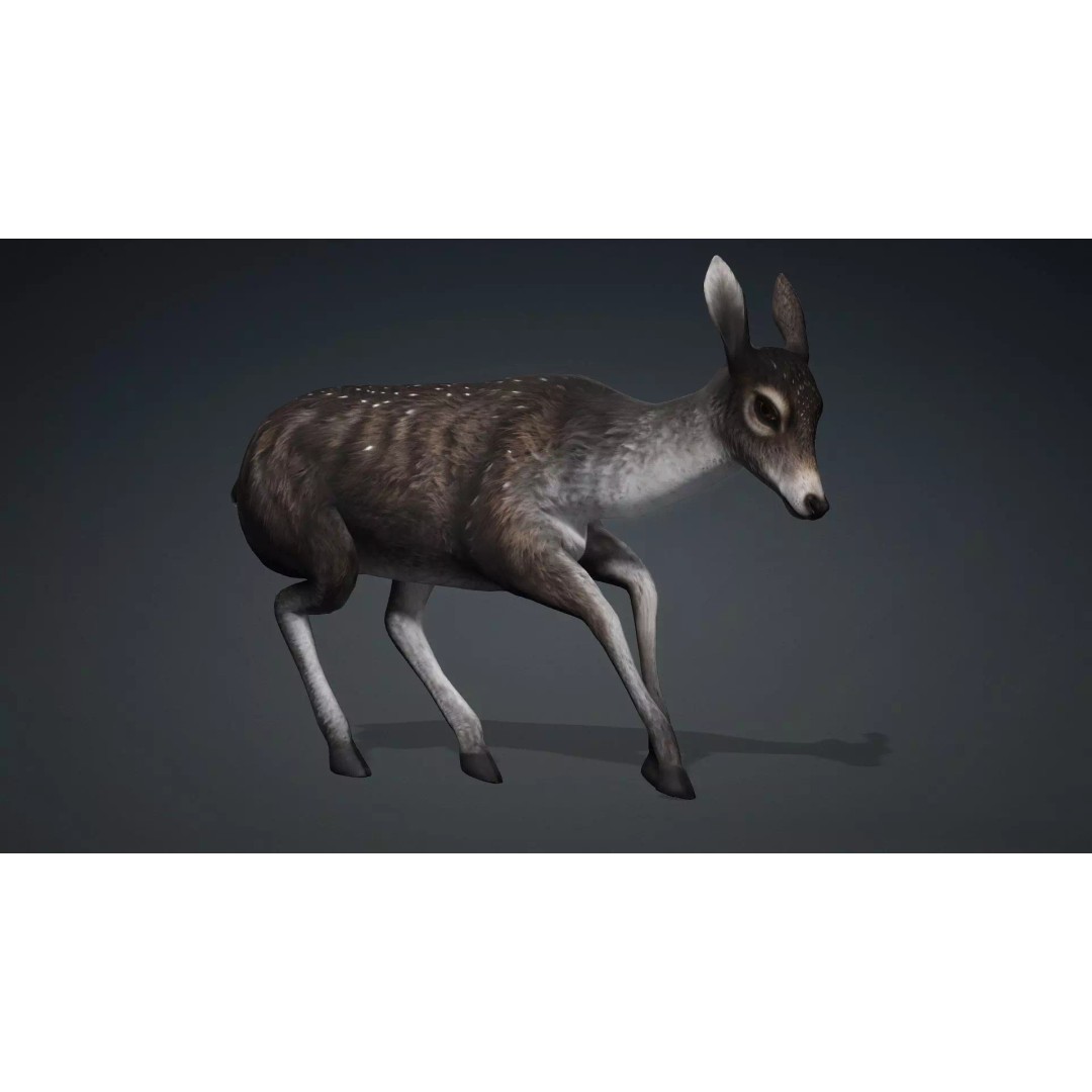 Deer 3D Model – Rigged Animated PBR Asset for Unity & Blender - View 14