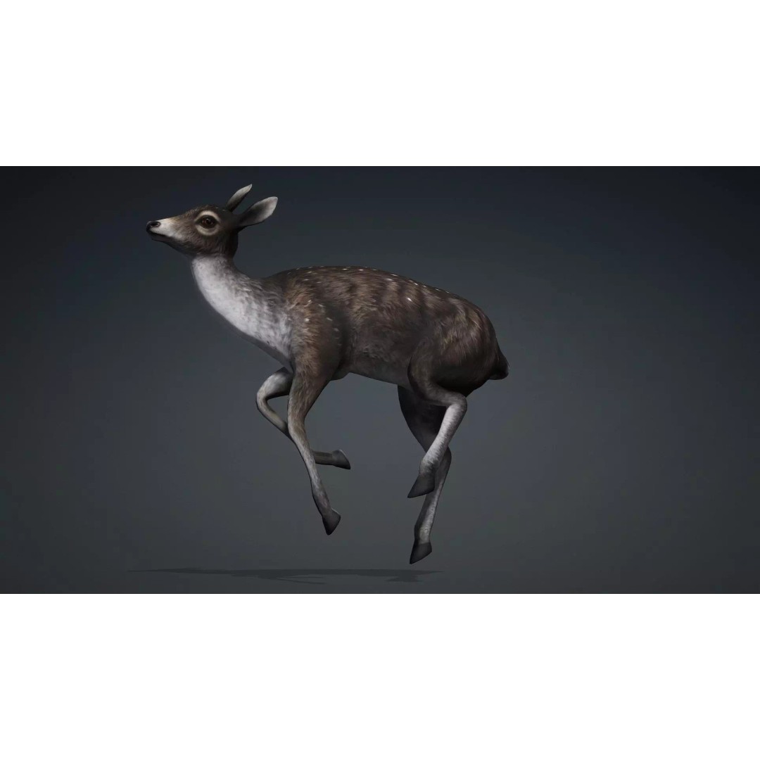 Deer 3D Model – Rigged Animated PBR Asset for Unity & Blender - View 18