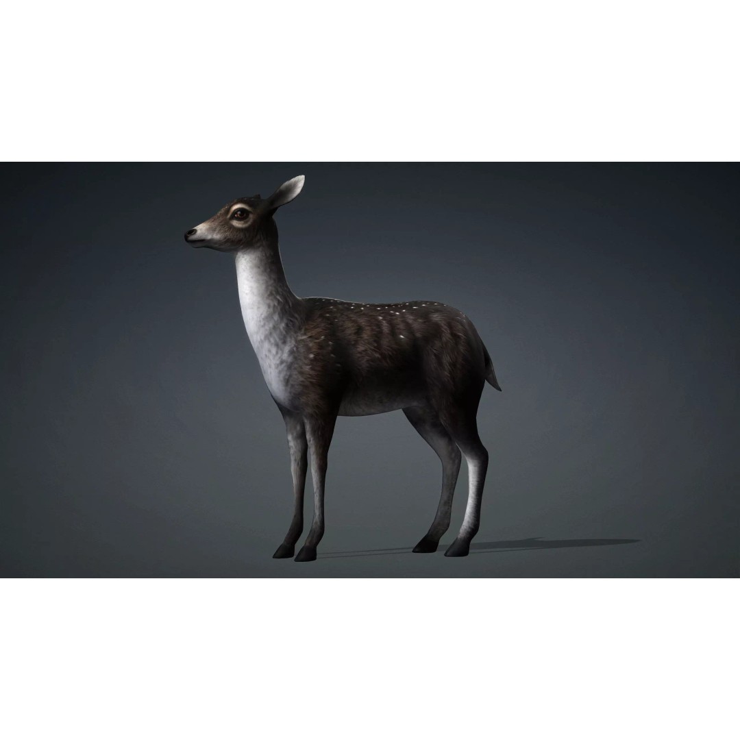 Deer 3D Model – Rigged Animated PBR Asset for Unity & Blender - View 3