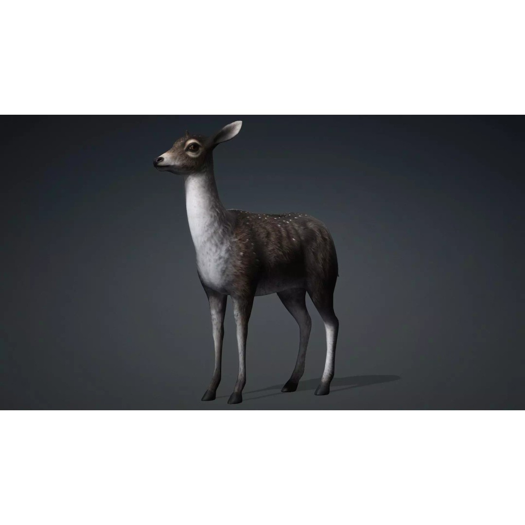 Deer 3D Model – Rigged Animated PBR Asset for Unity & Blender - View 4