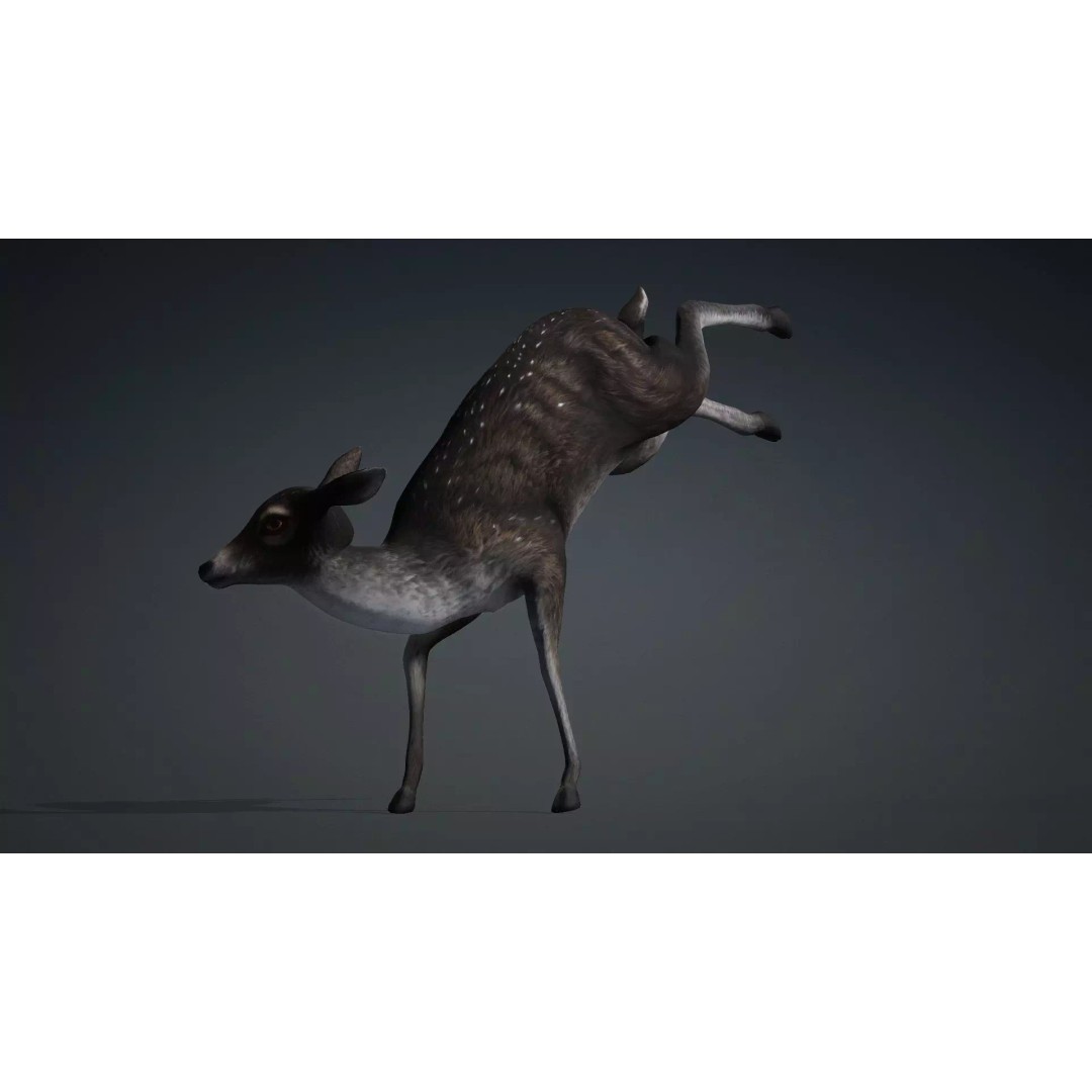 Deer 3D Model – Rigged Animated PBR Asset for Unity & Blender - View 5