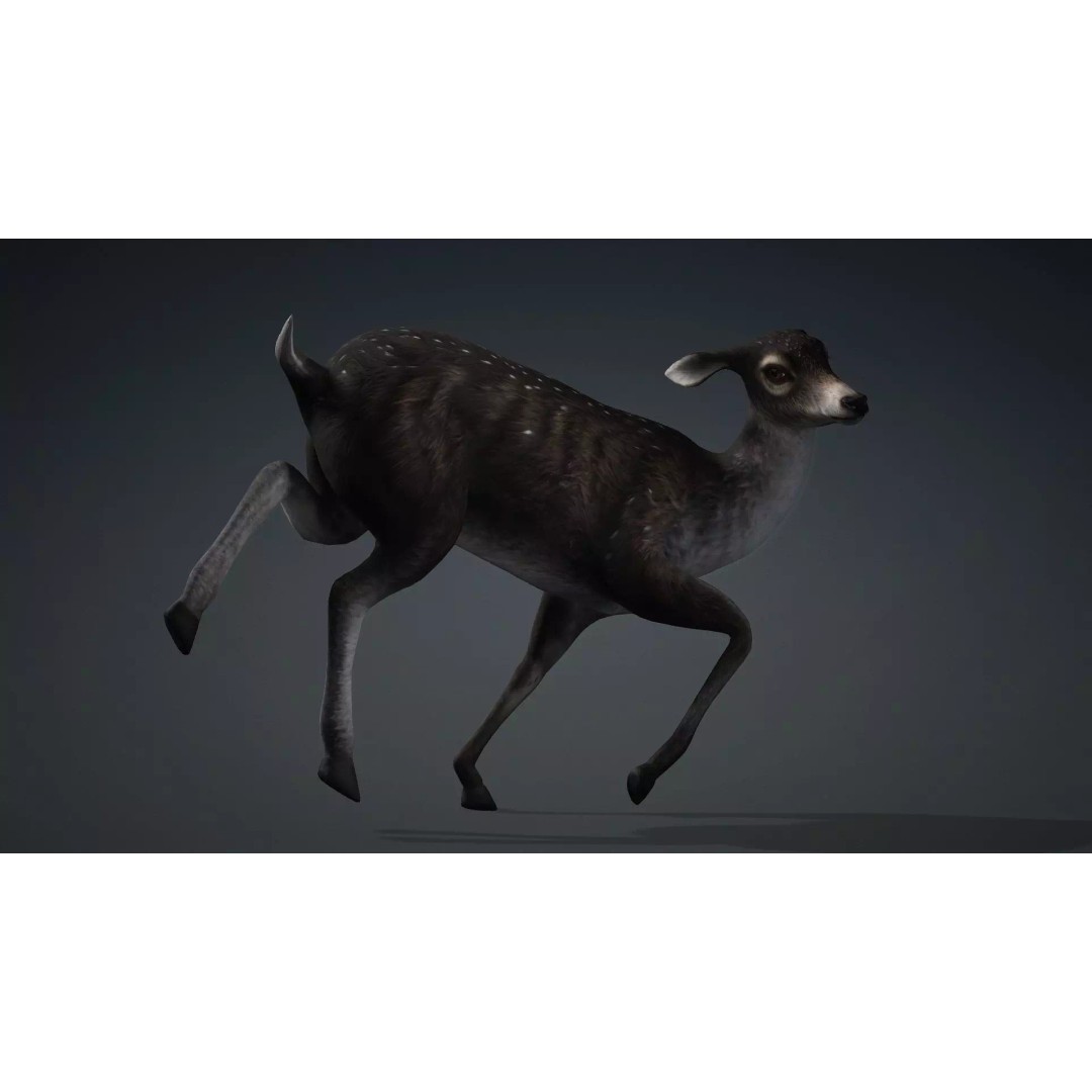 Deer 3D Model – Rigged Animated PBR Asset for Unity & Blender - View 6