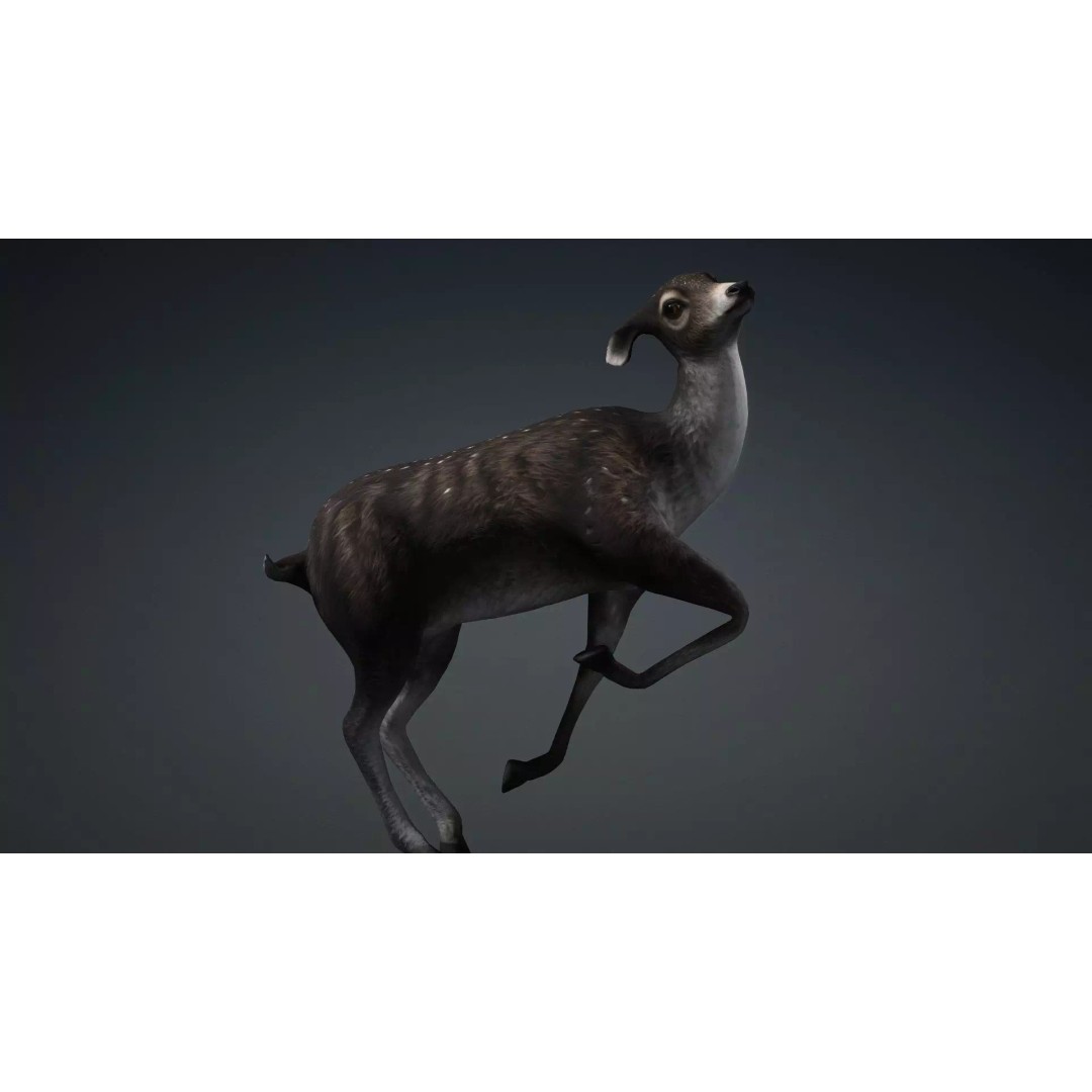 Deer 3D Model – Rigged Animated PBR Asset for Unity & Blender - View 7