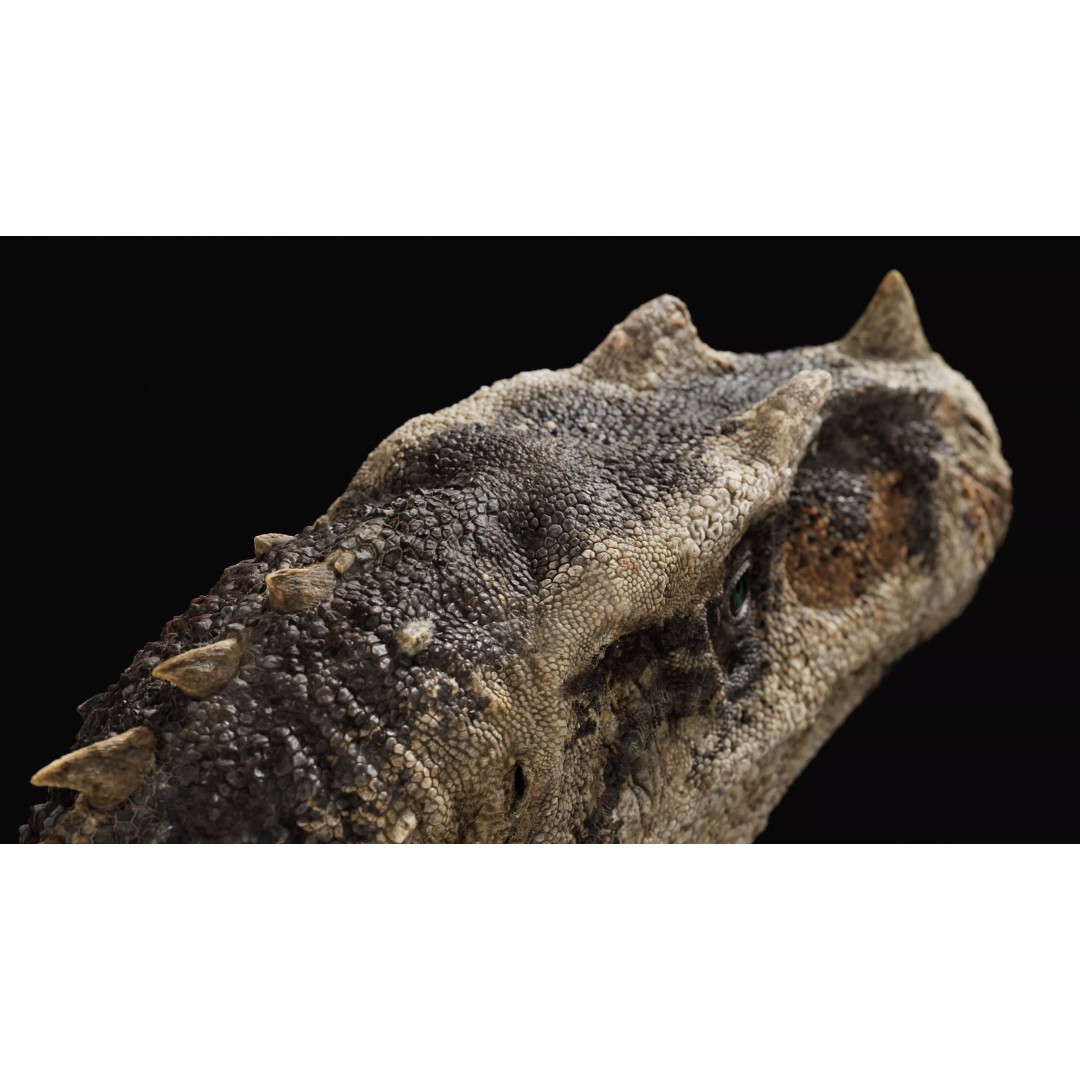 Ceratosaurus 3D Model – Rigged Dinosaur for Animation, FBX - View 11