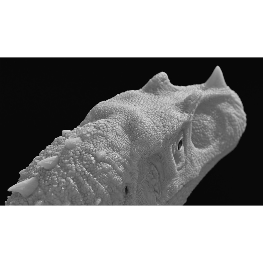 Ceratosaurus 3D Model – Rigged Dinosaur for Animation, FBX - View 12